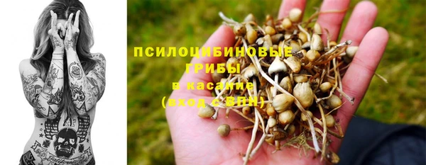 твердый Балабаново