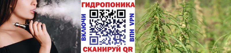 Конопля MAZAR  Семилуки 